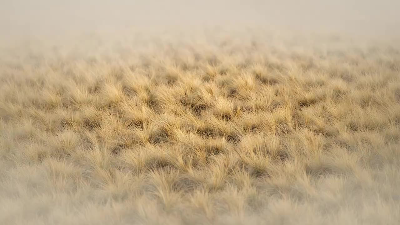 A generated picture of dry tussock moving in a light breeze, fading away at the edges.