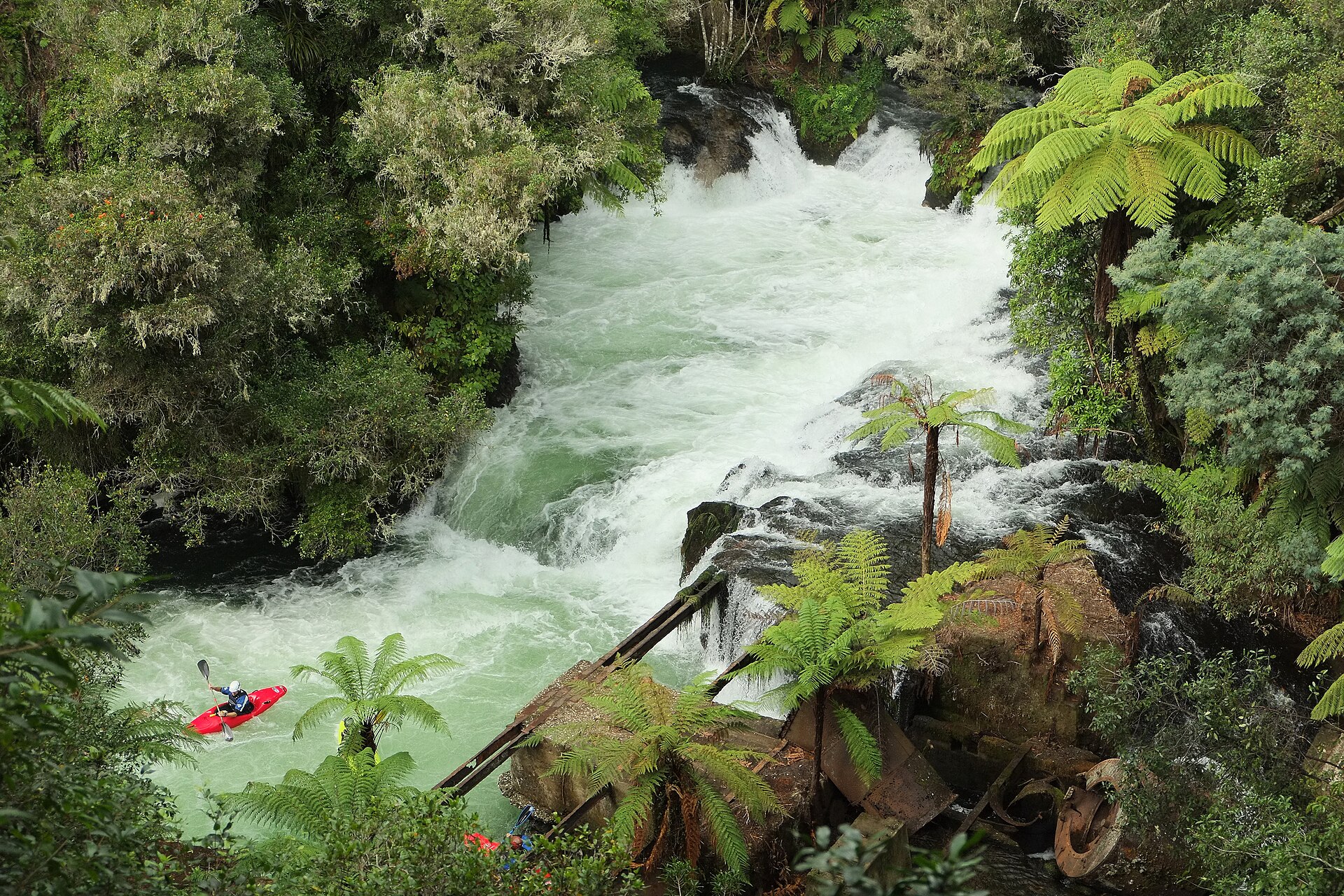 A red kayak dwarfed by churning whitewater between tree ferns at Okere Falls on the Kaituna River.